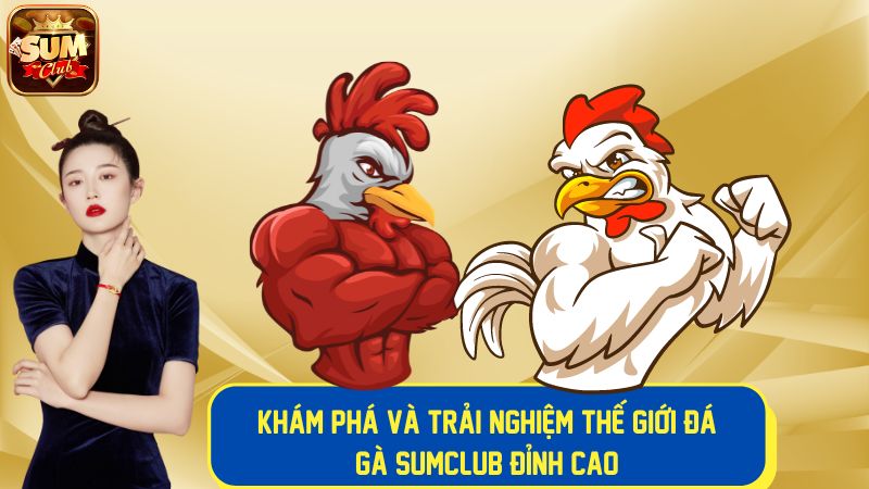 Trải nghiệm cược đá gà trực tuyến đỉnh cao