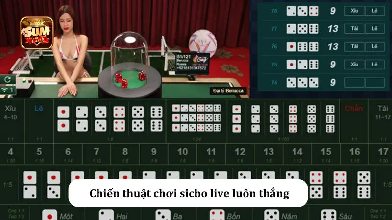Chơi theo đường dài để nâng cao tỷ lệ thắng sicbo live sumclub